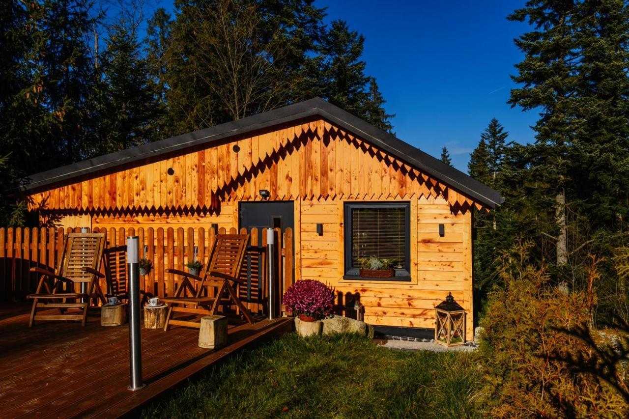 Domek Leśny Domek alpejski Zakopane